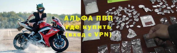 стаф Ладушкин