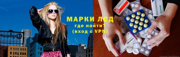 стаф Ладушкин