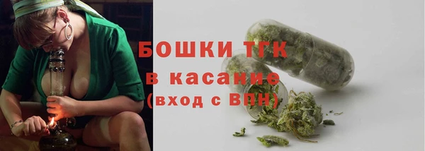 стаф Ладушкин