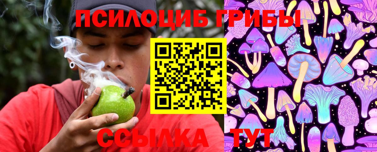 Галлюциногенные грибы прущие грибы  Вход с VPN  Новокузнецк 